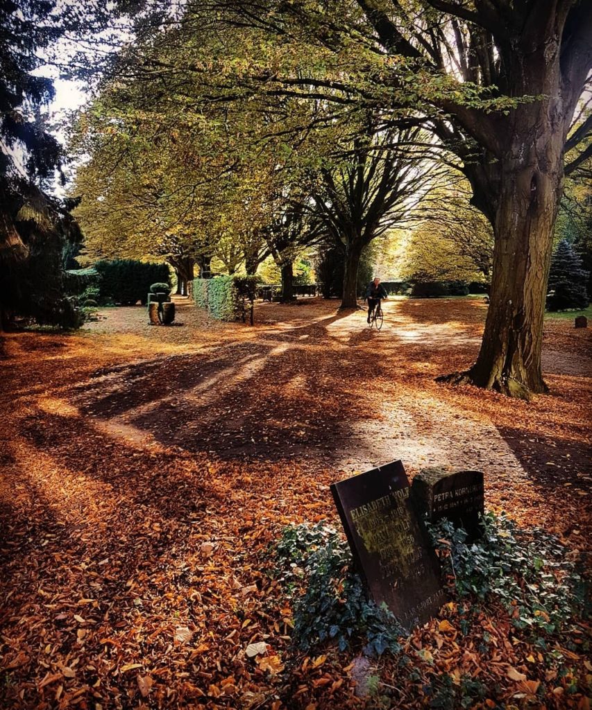 Assistens Cemetery Fall